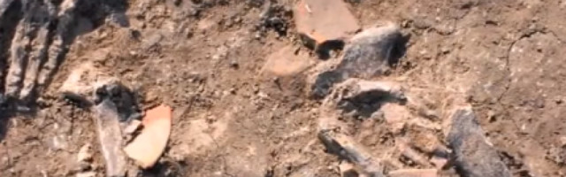 U Egiptu pronađene 3600 godina stare jame pune velikih, neobičnih ruku