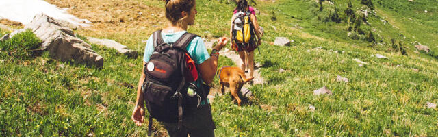Zašto je hodanje tako važno, pogotovo u prirodi