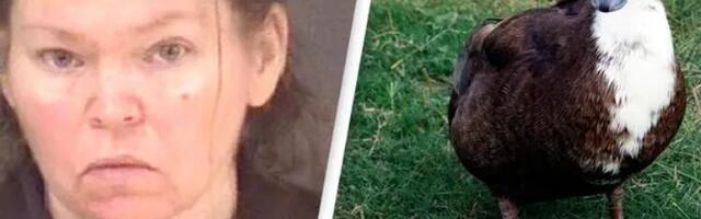 Patka pomogla policiji da reši dve godine staro ubistvo