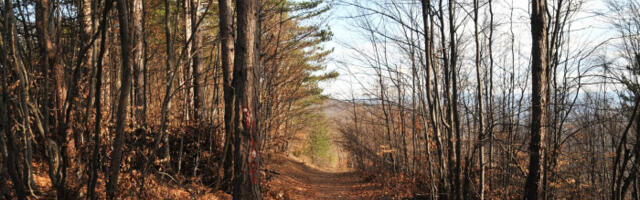 Mladić i devojka iz Kragujevca izgubili se na Kablaru, na terenu spasilačke ekipe