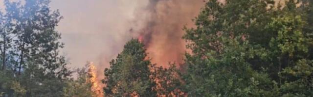 Muškarac stradao u požaru kod Lebana