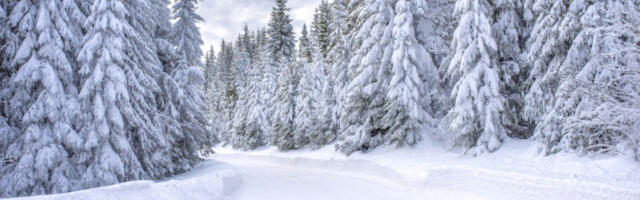 Снег паралисао авио, железнички и друмски саобраћај у Холандији