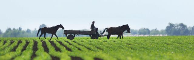 Od sutra otvorene prijave za podsticaje: Država daje 18.000 dinara po hektaru