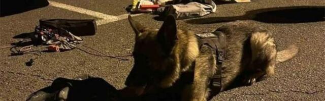 Drama na granici sa Hrvatskom: Pas razotkrio srpskog kamiondžiju