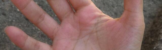 Sudbina na dlanu: Jedna linija otkriva šta vas čeka uskoro