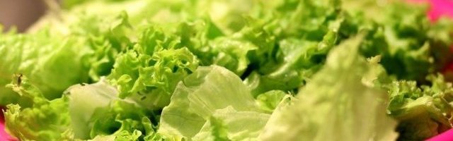 KRISTALKA, AJSBERG ILI RADIČ! Sve to možete da zasadite na TERASI, evo kako! (VIDEO)