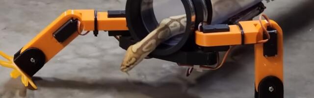 Izmislio posebno odelo kako bi zmijama omogućio da hodaju na četiri noge