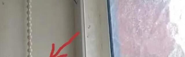 Stavite ovaj mali predmet u uglu sobe i rešite se paukova zauvek! Preko noći ih više neće biti u vašoj kući