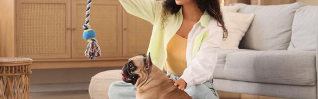 Pas može da prepozna i sortira igračke po nazivima: Evo kako da ga tome naučite u 4 JEDNOSTAVNA KORAKA