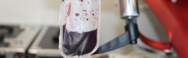 Nađen donor matičnih ćelija za jedno od troje obolelih iz Niša