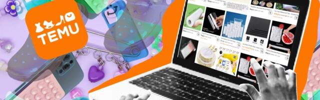 Ko kontroliše milione paketa koji preko online platformi ulaze u BiH?