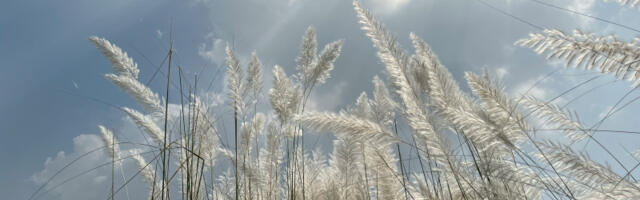 Dnevni horoskop za 7. april: Inicijativa Lavova dolazi do izražaja, Vodolije dolaze do kreativnog rešenja