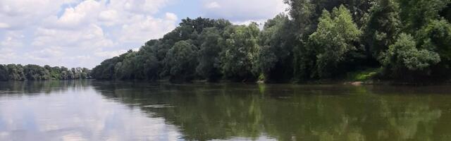 Dete (8) šetalo sa bratom, prišlo reci i nestalo! Dramatična potraga u Dravi se nastavlja