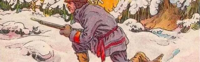 Mozgalica koja je zaludela internet: Pronađite skrivenog braon medveda za manje od 15 sekundi i testirajte IQ