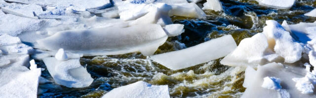 Upozorenje RHMZ zbog situacije na rekama: Posebno se ističe Tamiš