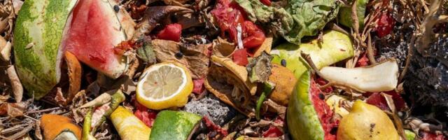 Italija prva u Evropi po bacanju hrane