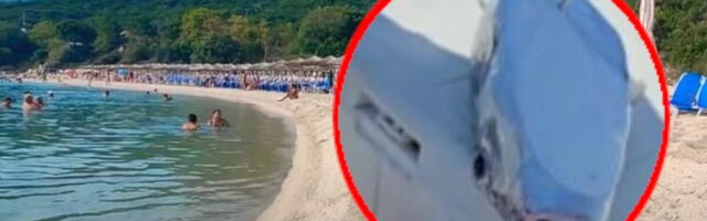 RIBA ZEC NASTAVLJA DA PRAVI HAOS U GRČKOJ, KUPAČI - ČUVAJTE SE! Ispušta izuzetno opasan otrov, a ovako se spremaju da joj stanu na put: Kreće specijalna akcija