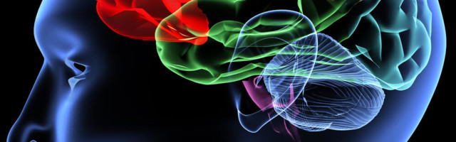 Kako kontrolišemo misli i nagle pokrete?