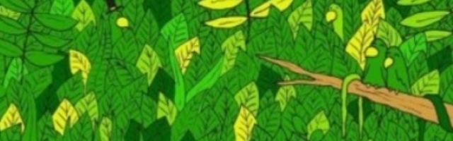 Samo posebni mogu da vide ZMIJU u prvih par sekundi! (FOTO)