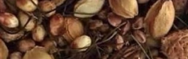 Ako bacite koščice na jedno mesto, ispuniće vam se žalja