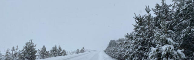 Сутра хладно јутро са мразом, током дана мало топлије