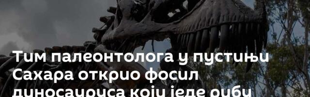 Тим палеонтолога у пустињи Сахара открио фосил диносауруса који једе рибу