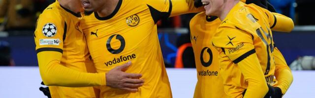 U prašumi u Peruu otkriven crno-žuti leptir: Nazvan po slavnom fudbalskom klubu, a cena toga bila 2.800 evra