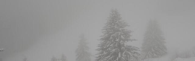 Dronom tražili nestalog čoveka u šumama pa snimili zver kako se kotrlja na snegu: Snimak je postao viralan