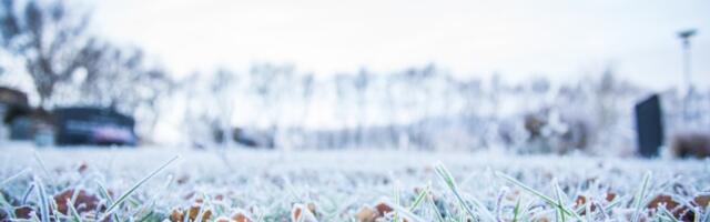 ŠOKANTNA prognoza RHMZ: Mraz će okovati Srbiju, sneg za Vaskrs