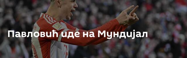Павловић иде на Мундијал