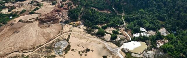 "GRINPIS" UPOZORAVA: Ilegalni rudari izvlače zlato vredno milijarde dolara iz Amazona uprkos merama Brazila, objavljeni snimci, plemena u OPASNOSTI (FOTO/VIDEO)