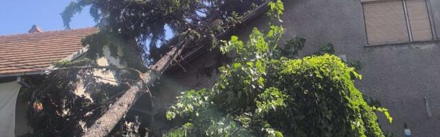 Vatrogasci tokom protekle noći u Aranđelovcu gasili požare, uklanjali oborena stabla…