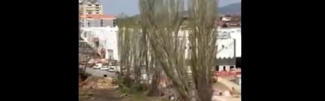 Izgovori nadležnih za seču drveća u Nišu su dokaz koliko umemo da budemo bahati