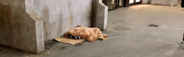 Užasan prizor u Novom Pazaru: Djeca “po kazni” spavaju na betonu