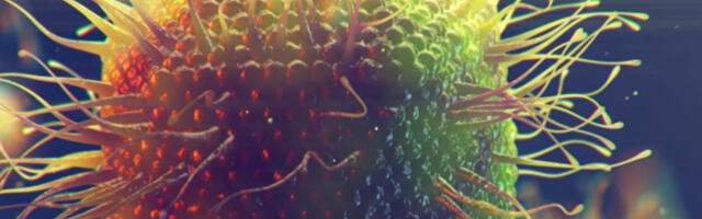 KINA NA UDARU NOVOG VIRUSA! H3N2 puni bolnice, prvi smrtni slučaj zabeležen