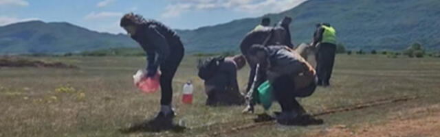 Никшић: супружници саслушани због просипања отрова на ливади за испашу