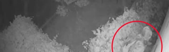 "KRADU SVE, ČAK I HRANU": Kuće na Avali postale meta OPASNE BANDE LOPOVA, pojavio se snimak pljačke (VIDEO)