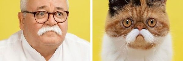 Fotografije koje dokazuju da psi liče na svoje vlasnike