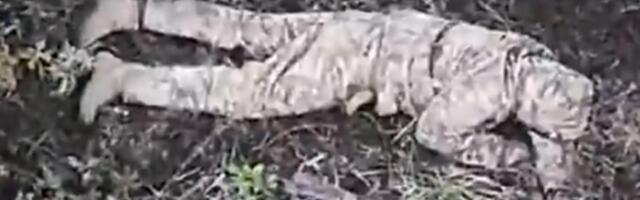 RUSIJA ŠALJE MENTALNO OBOLELE I MEDICINSKI NESPOSOBNE LJUDE DA GINU! Jurišaju po kazni i bez šlemova, oružja i pancira direktno u SMRT! (VIDEO)