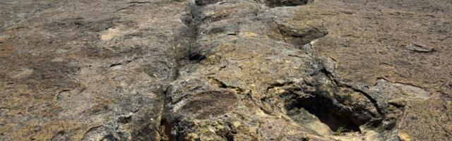 NEVEROVATNO OTKRIĆE U BOLIVIJI: Pronađena lokacija sa više od 16.000 tragova koje su ostavili dinosaurusi