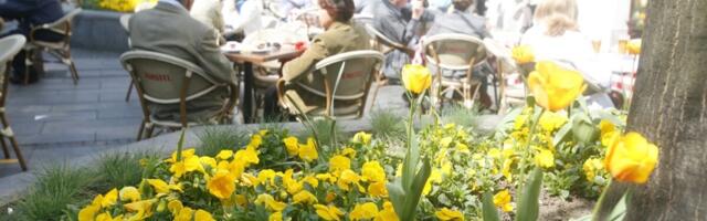 Evo kada će u Srbiji biti preko 18 stepeni! Samo što nije stiglo proleće, i to na velika vrata, kuvaćemo se