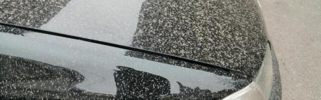 PRLJAVA KIŠA STIŽE U BiH: Saharski pesak već u vazduhu, evo kada se očekuje