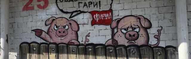 „Delije“ grafitom dočekale „Frimu“ – gosti na udaru zbog Bake Praseta (VIDEO)