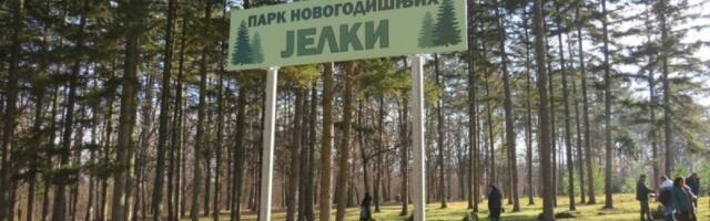 Gde su vam jelke od Nove godine: Ovde su napravili ceo park