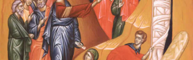 Danas je Lazareva subota – Vrbica