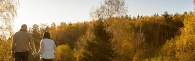 Vlasnici pasa u ovoj zemlji će morati da šetaju sa ljubimcima dva puta dnevno