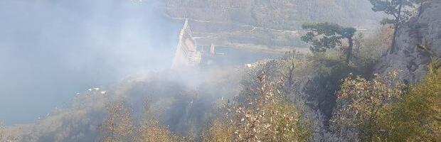 Požar na Tari pod kontrolom