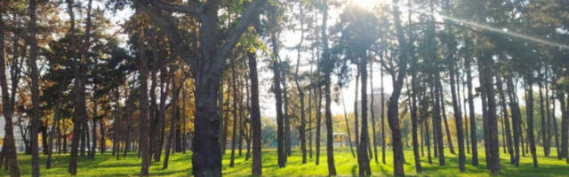 Сутра ујутру хладно, током дана топлије и сунчано, до 13 степени