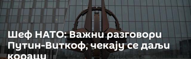 Шеф НАТО: Важни разговори Путин-Виткоф, чекају се даљи кораци