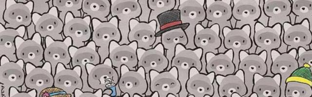 Ova optička iluzija od 5 sekundi zaludela je internet: Samo pravi genijalci mogu da nađu mačku među rakunima!